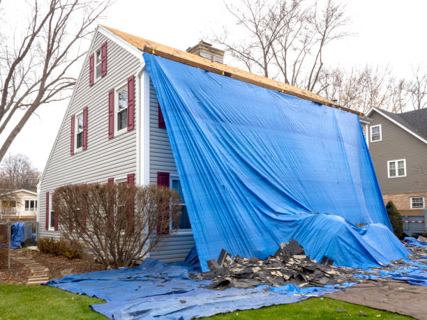 Best Custom Trim and Detailing for Siding  in Triangle, VA